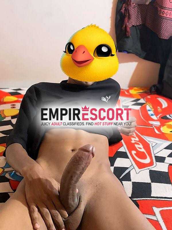 pollo vergon lechero de 21ctm nuevo en barranquilla