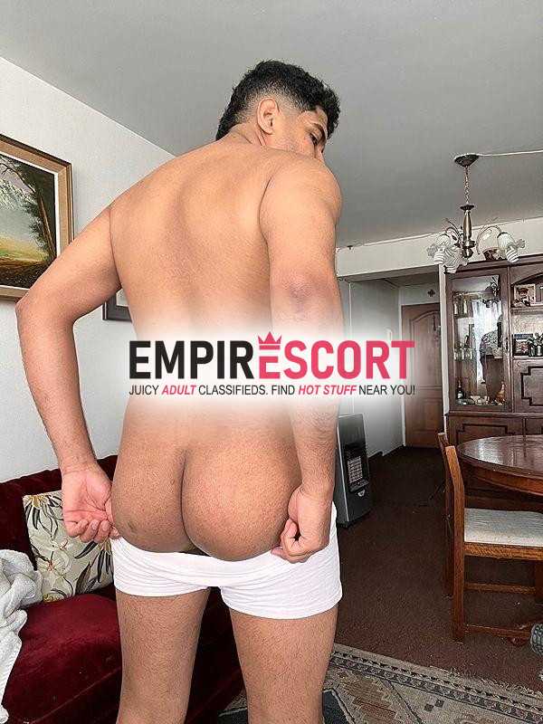 oso venezolano🐻🇻🇪