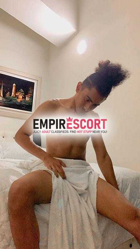 pollito traviesos disponible 247