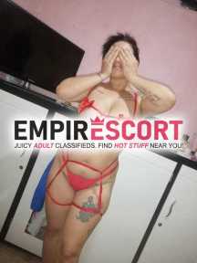 de regreso zarkita palmirana